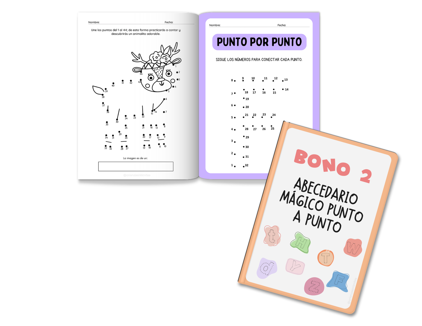 Sistema de escritura activa en 3 pasos /html Vista previa Bono 2